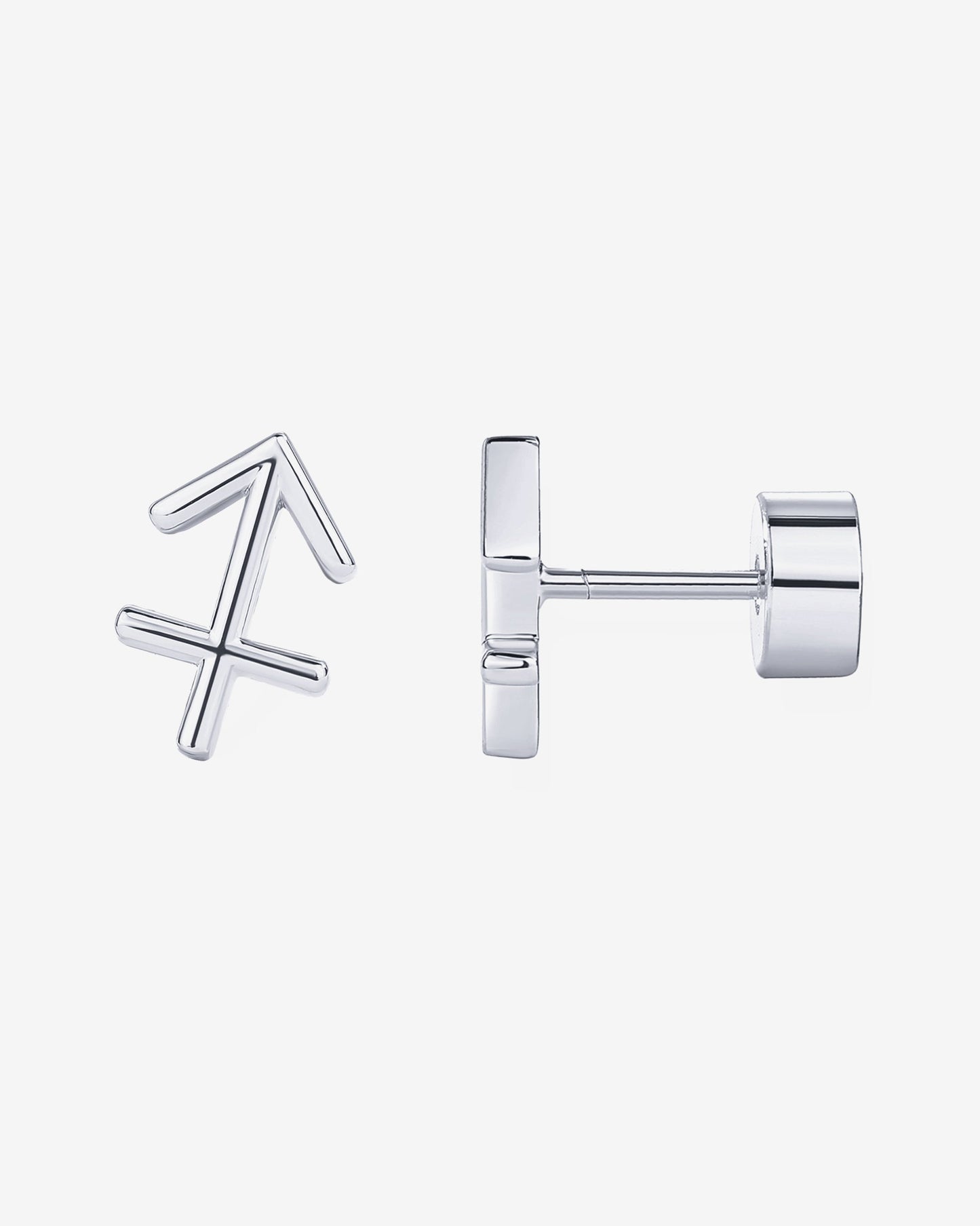 What's Your Sign Horoscope Earrings