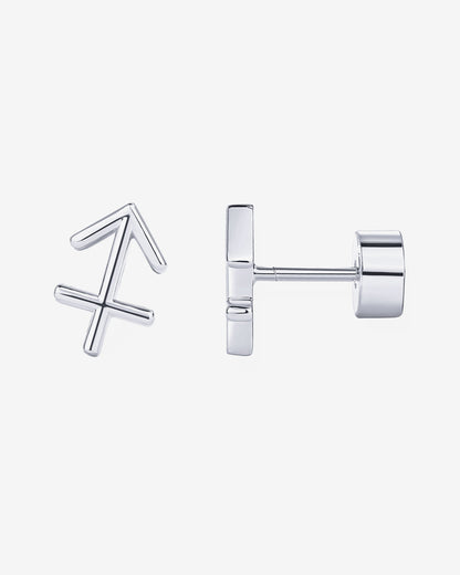 What's Your Sign Horoscope Earrings