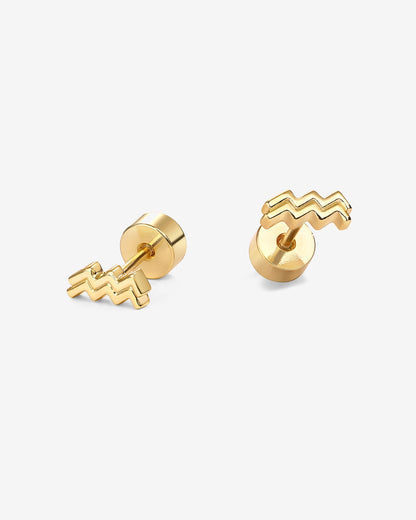 What's Your Sign Horoscope Earrings