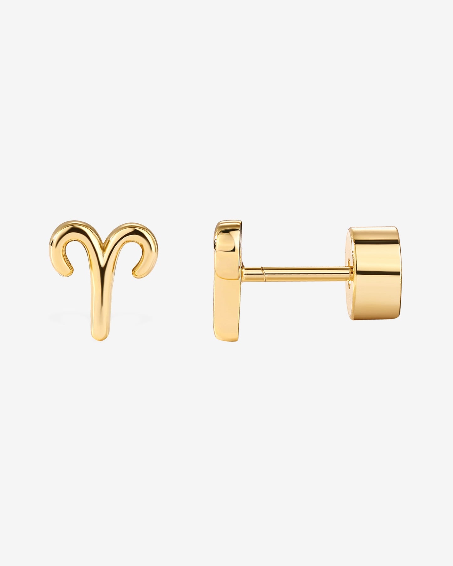 What's Your Sign Horoscope Earrings