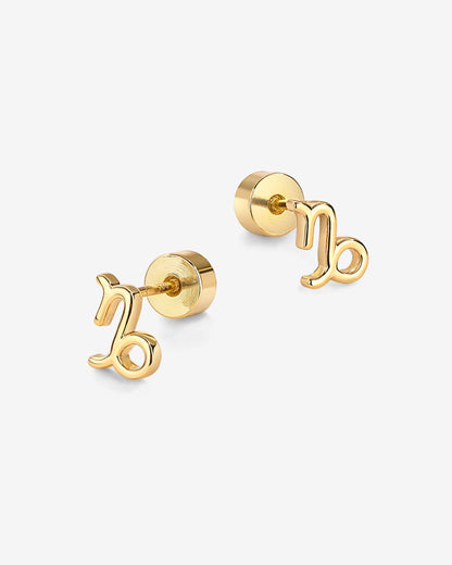 What's Your Sign Horoscope Earrings