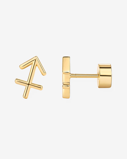 What's Your Sign Horoscope Earrings