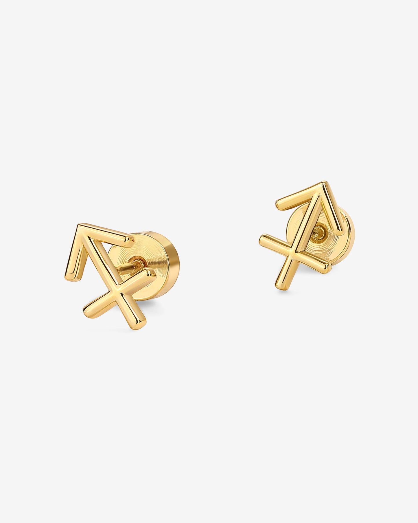 What's Your Sign Horoscope Earrings