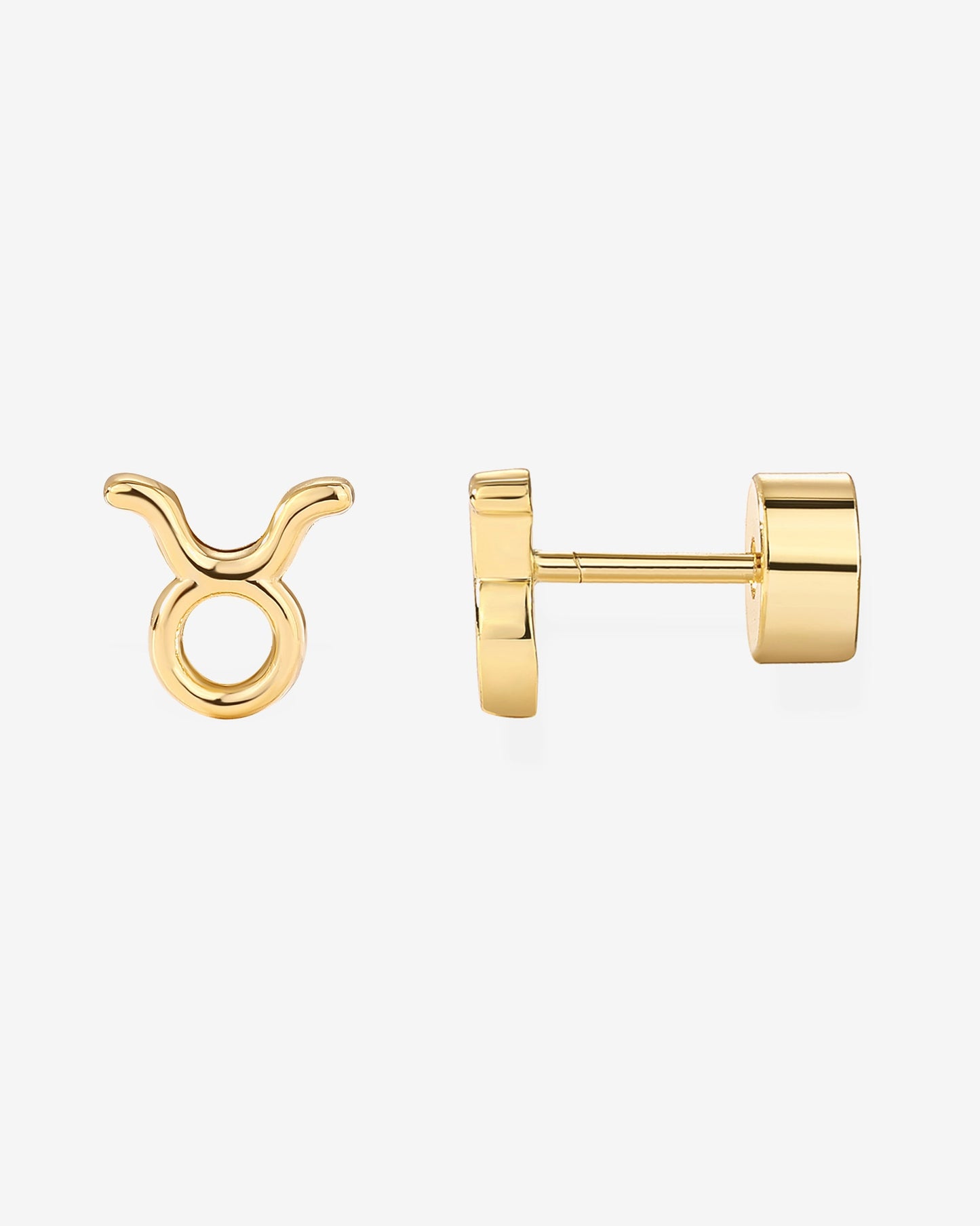 What's Your Sign Horoscope Earrings