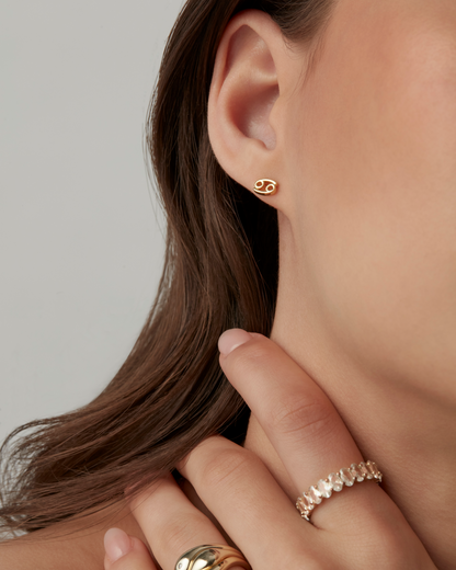 What's Your Sign Horoscope Earrings