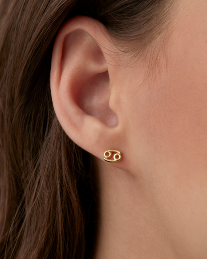 What's Your Sign Horoscope Earrings